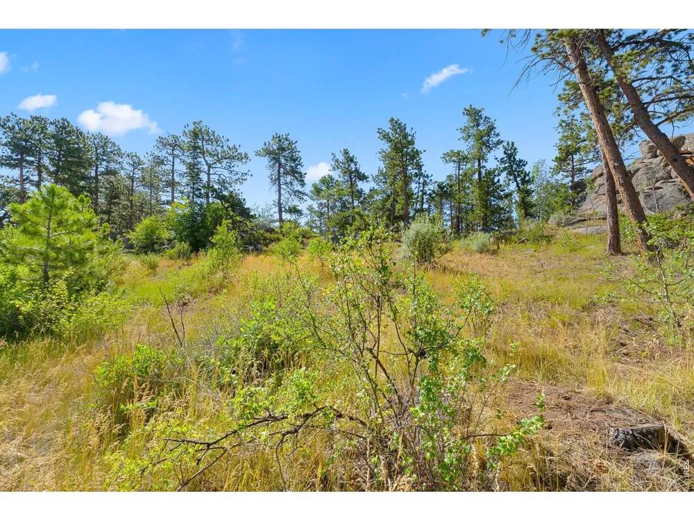 1532 Fox Acres Drive W Red Feather Lakes, CO 80545