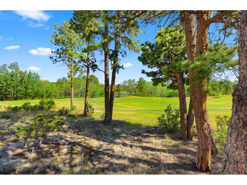 1532 Fox Acres Drive W Red Feather Lakes, CO 80545