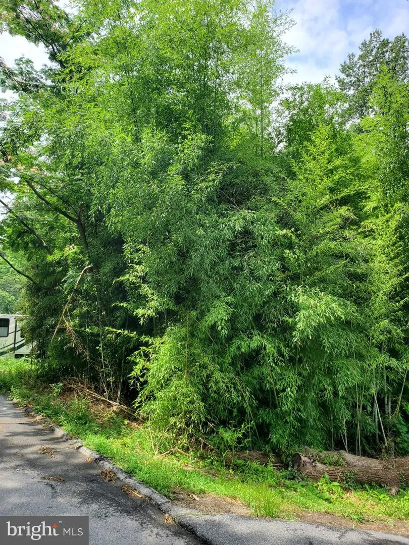 3317 NORTH AVENUE Port Republic, MD 20676
