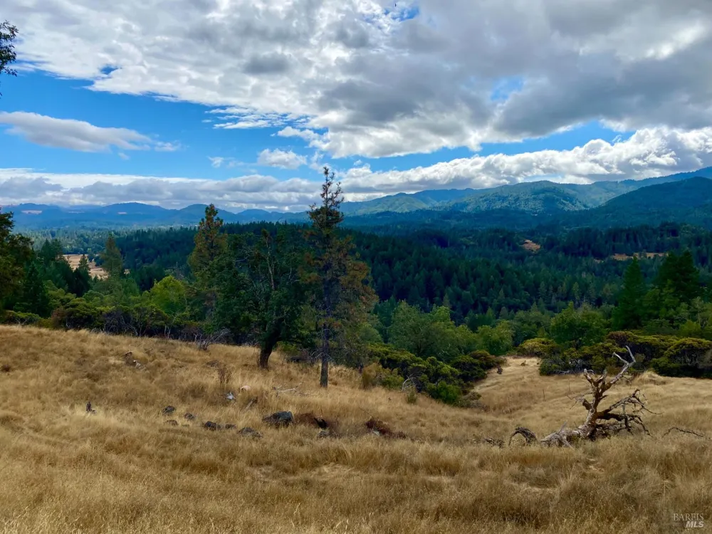 46700 Highway 101 Laytonville, CA 95454