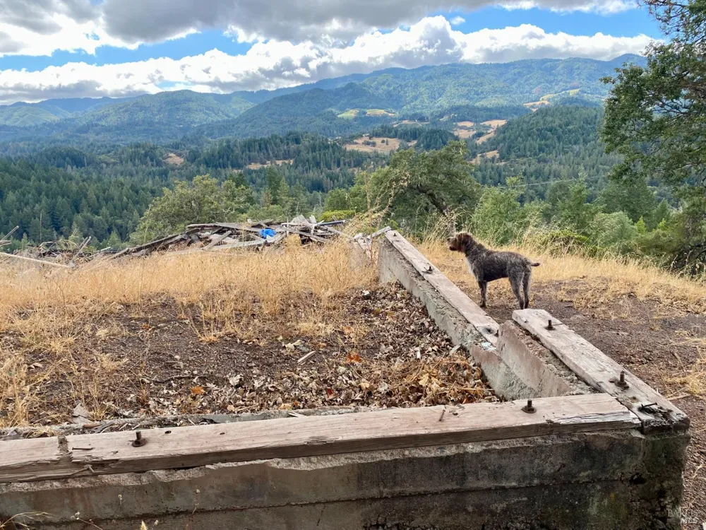 46700 Highway 101 Laytonville, CA 95454