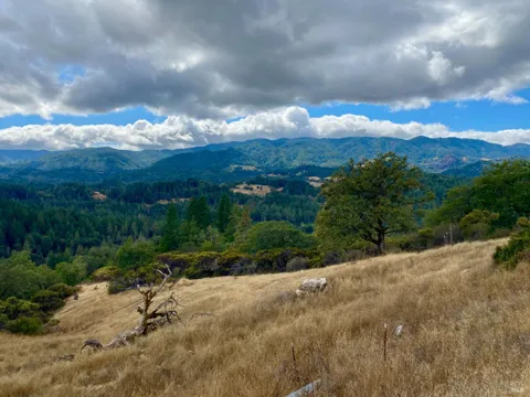 46700 Highway 101