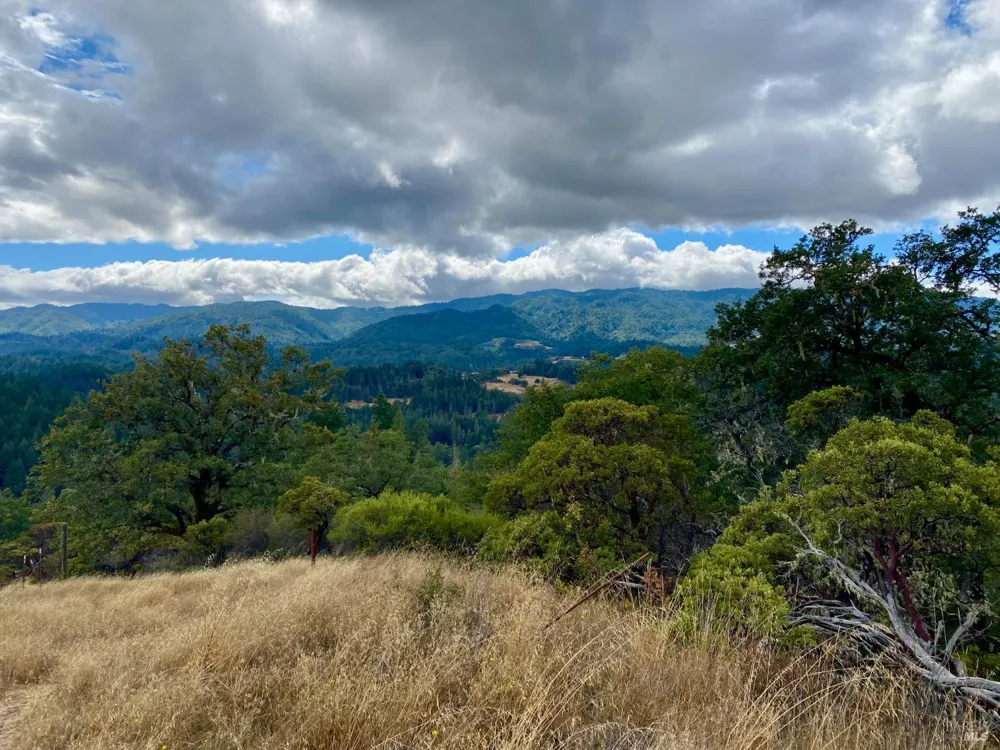 46700 Highway 101 Laytonville, CA 95454