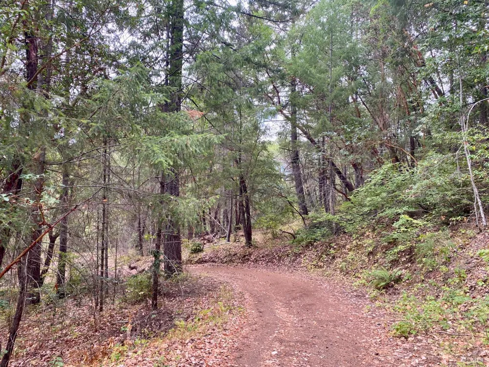 46700 Highway 101 Laytonville, CA 95454