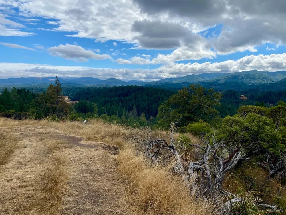 46700 Highway 101 Laytonville, CA 95454