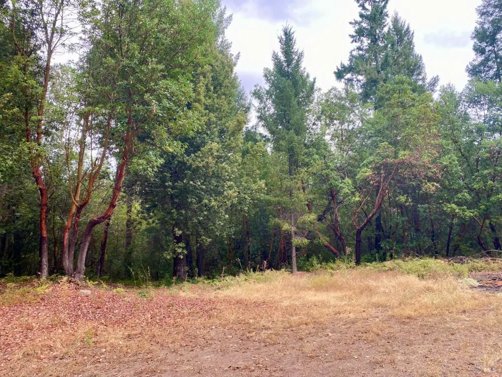 46700 Highway 101 Laytonville, CA 95454