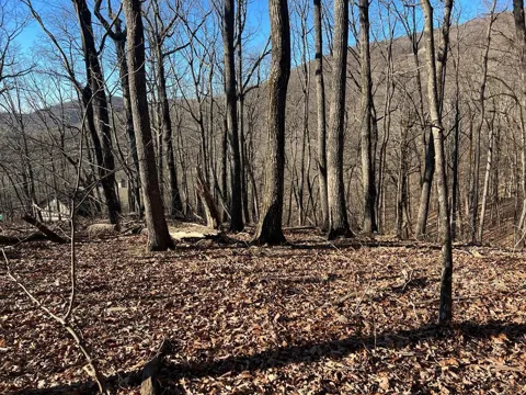 0 Sassafras Mountain Trail