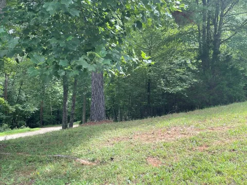 Lot 1 Pinehurst