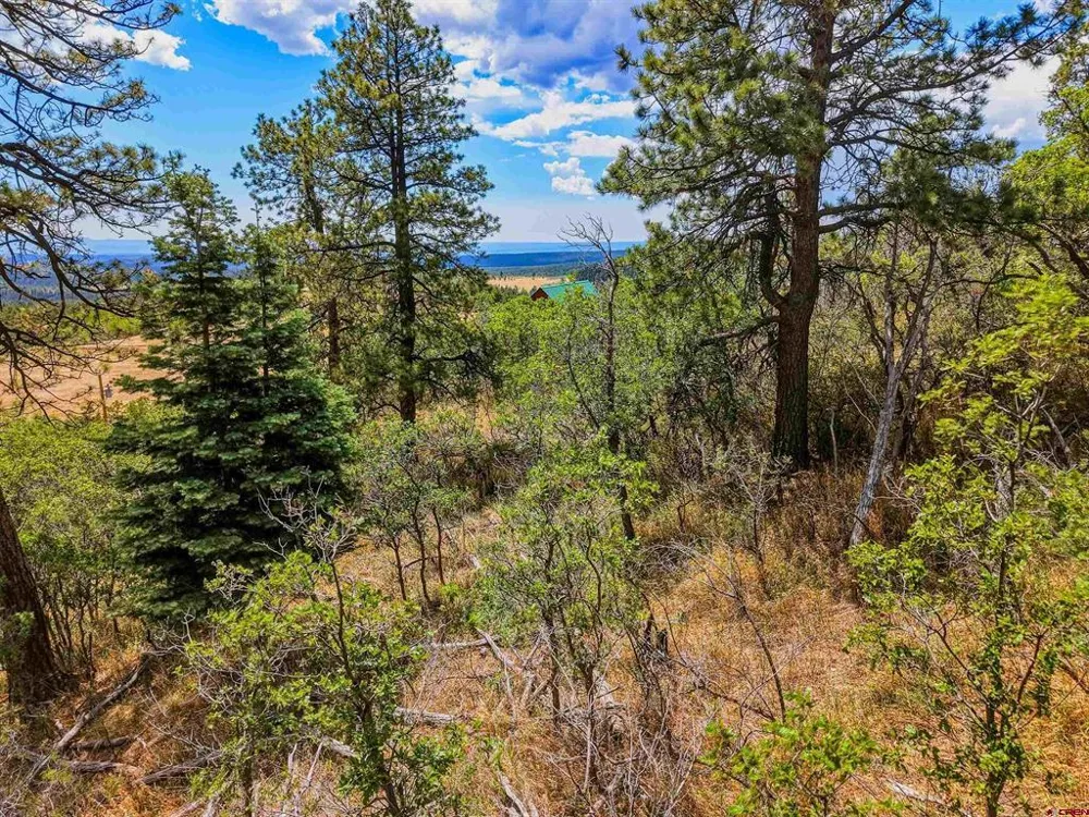 Spanish Peaks Ranch Lots 56 & 57 Aguilar, CO 81020