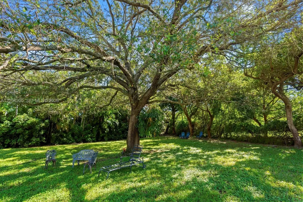 6500 SW 127th Street Pinecrest, FL 33156