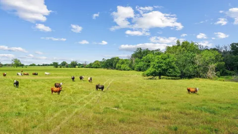 1080 Grand Oaks Ranch Road