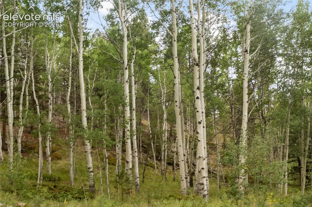 5853 W Highway 24 Divide, CO 80814