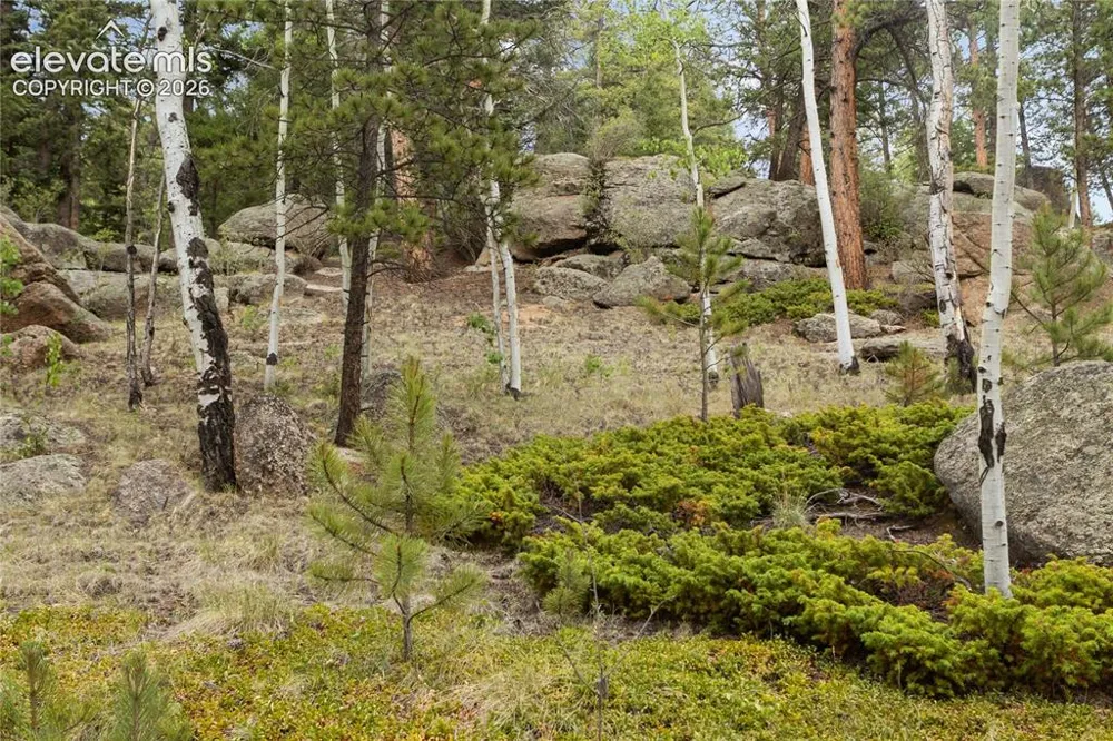 5853 W Highway 24 Divide, CO 80814