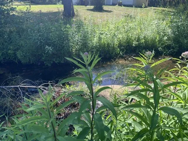 2849 Hoover Road Fork Township, MI 49305