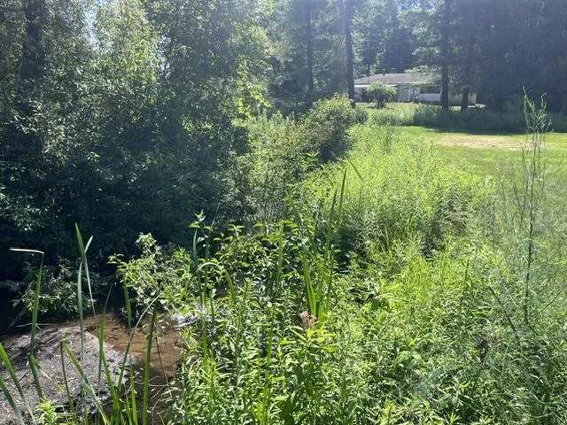 2849 Hoover Road Fork Township, MI 49305