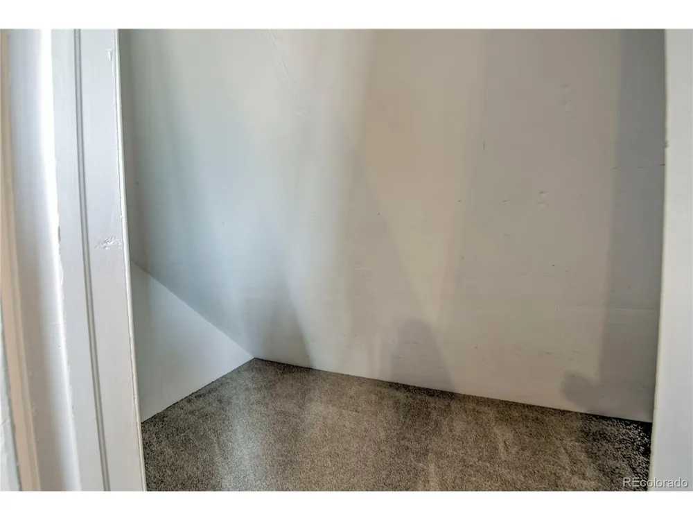 653 Vine Road Fairplay, CO 80440