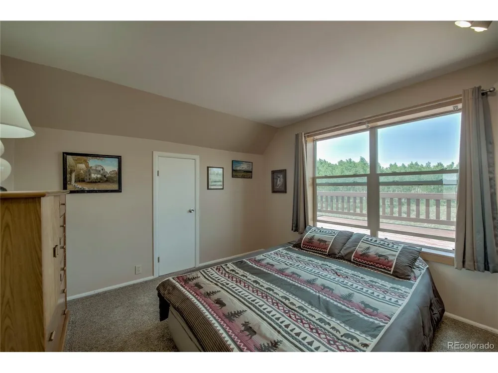 653 Vine Road Fairplay, CO 80440