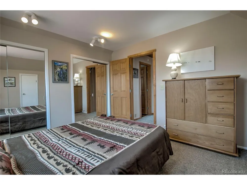 653 Vine Road Fairplay, CO 80440