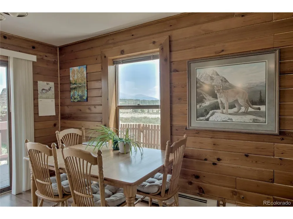 653 Vine Road Fairplay, CO 80440