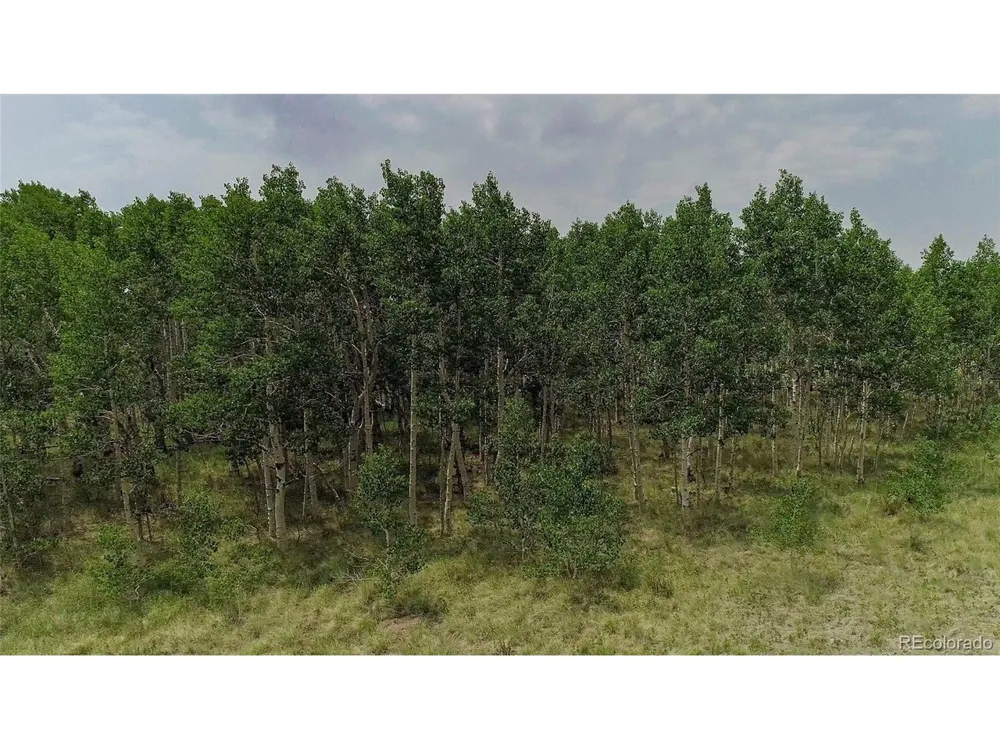 653 Vine Road Fairplay, CO 80440