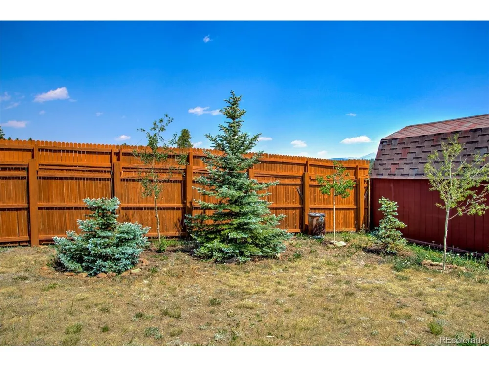 653 Vine Road Fairplay, CO 80440