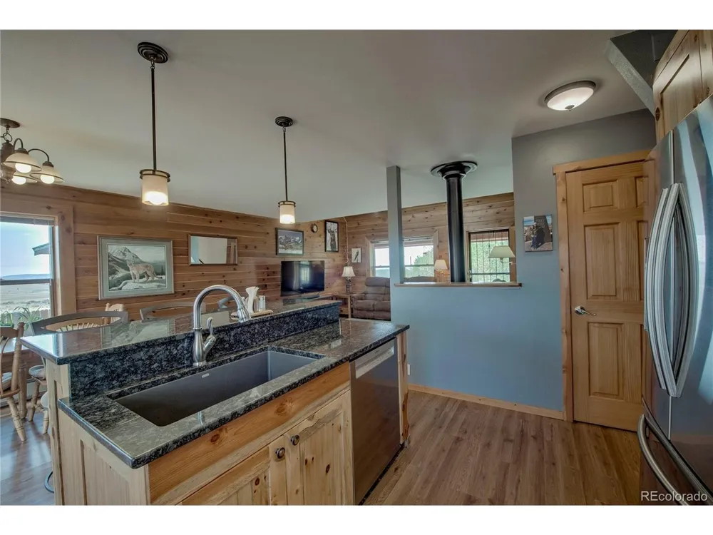 653 Vine Road Fairplay, CO 80440
