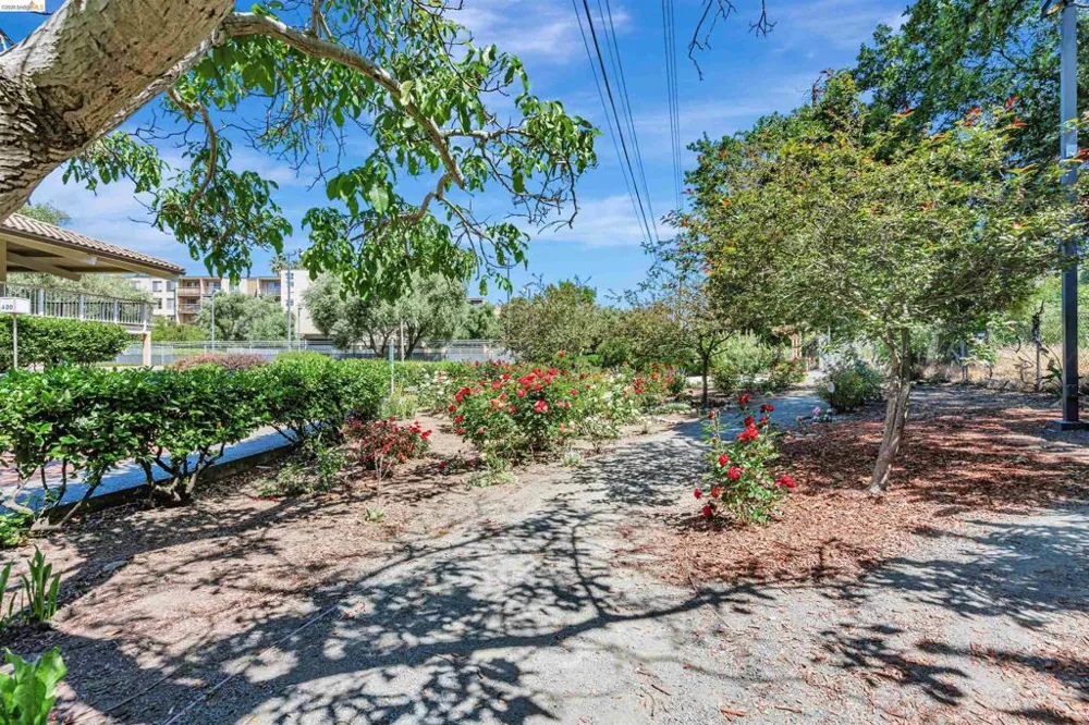 490 Civic Dr #101 Walnut Creek, CA 94596