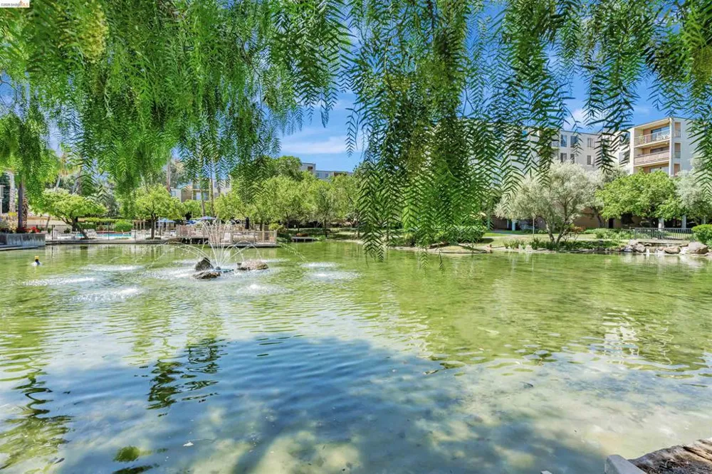 490 Civic Dr #101 Walnut Creek, CA 94596