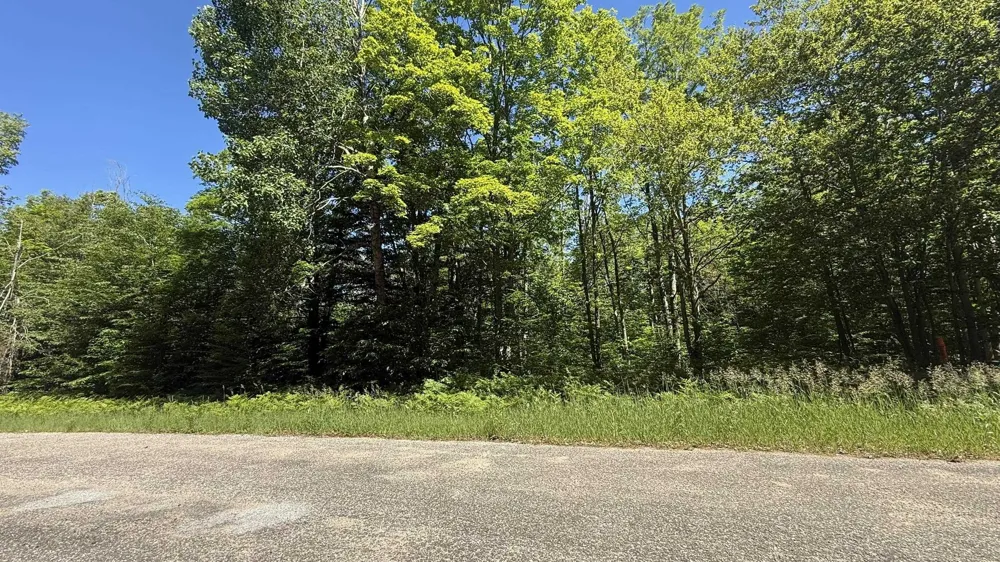 Cliffmont Drive Mancelona Township, MI 49659