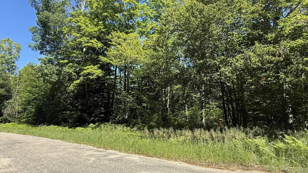 Cliffmont Drive Mancelona Township, MI 49659