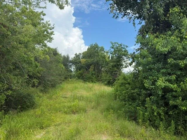 Wetzel Texas City, TX 77591