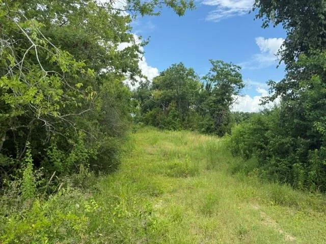 Wetzel Texas City, TX 77591