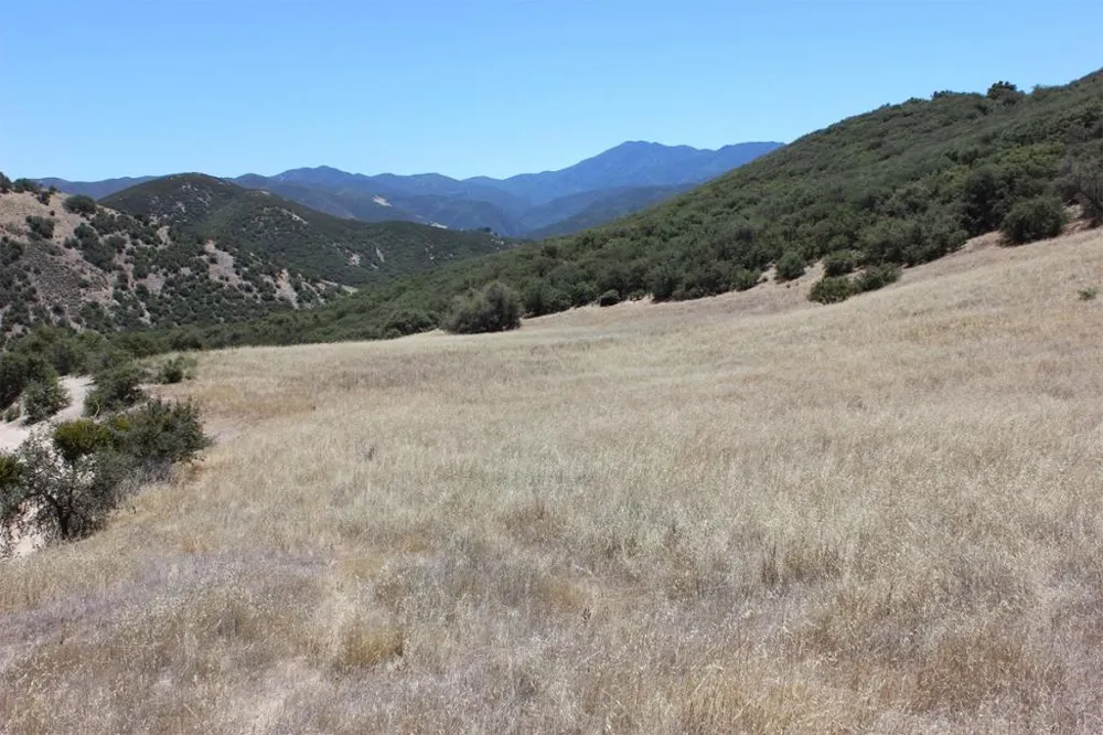 E Carmel Valley Road Greenfield, CA 93927