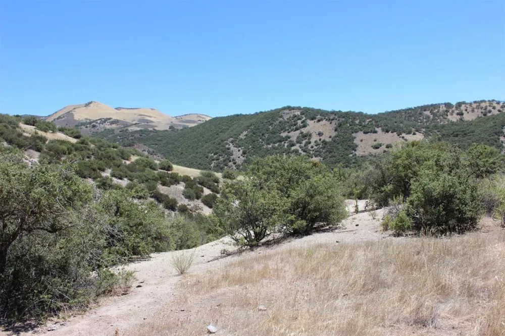 E Carmel Valley Road Greenfield, CA 93927