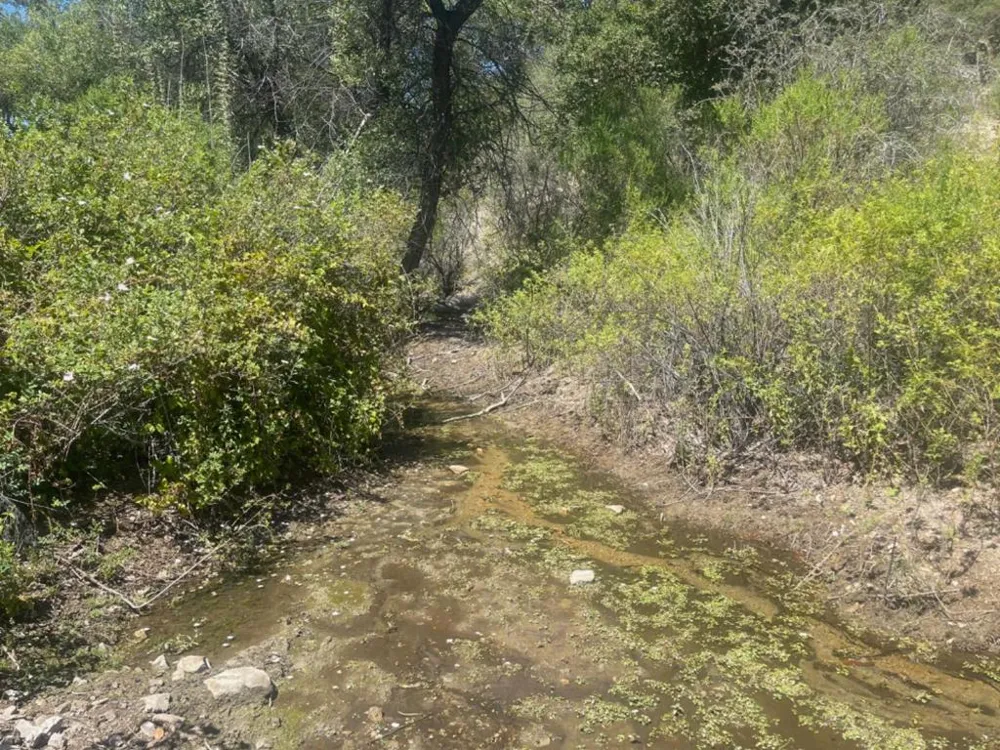 E Carmel Valley Road Greenfield, CA 93927