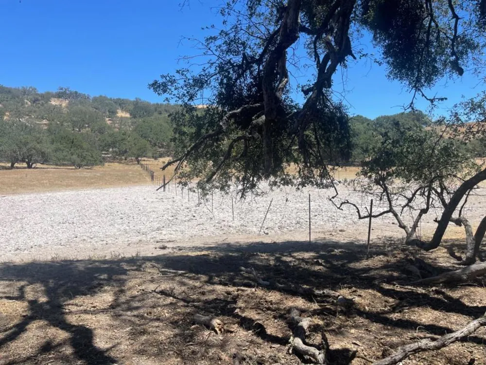 E Carmel Valley Road Greenfield, CA 93927