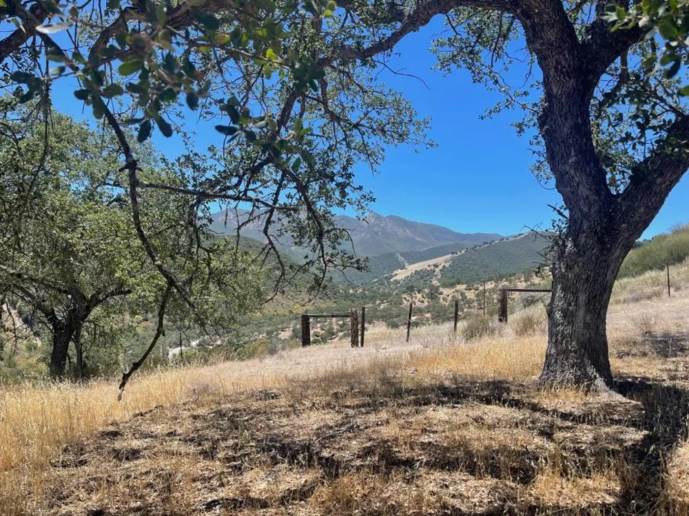 E Carmel Valley Road Greenfield, CA 93927