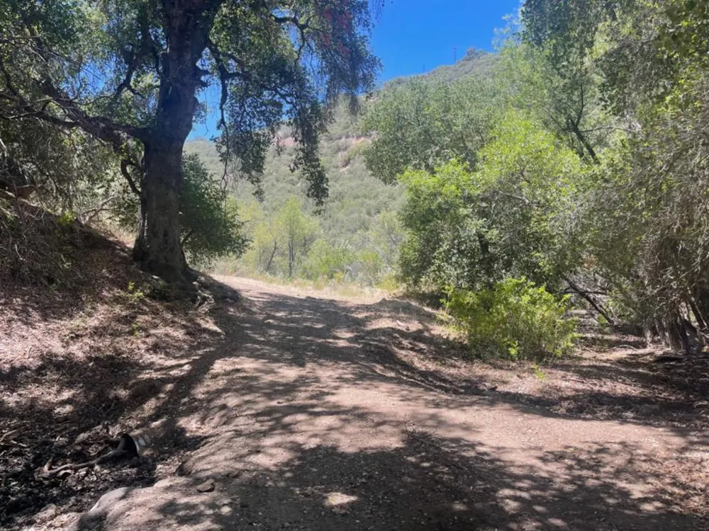 E Carmel Valley Road Greenfield, CA 93927