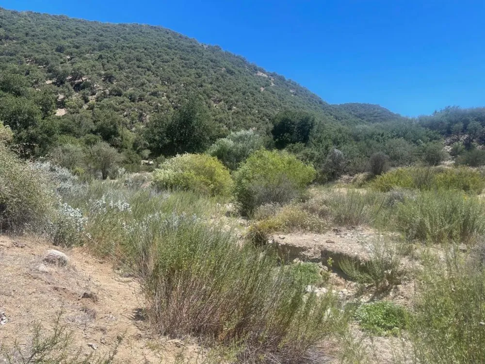 E Carmel Valley Road Greenfield, CA 93927