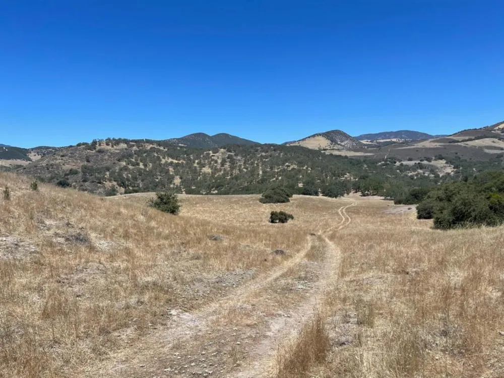 E Carmel Valley Road Greenfield, CA 93927