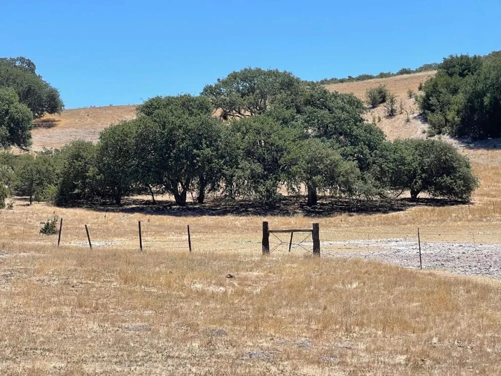 E Carmel Valley Road Greenfield, CA 93927