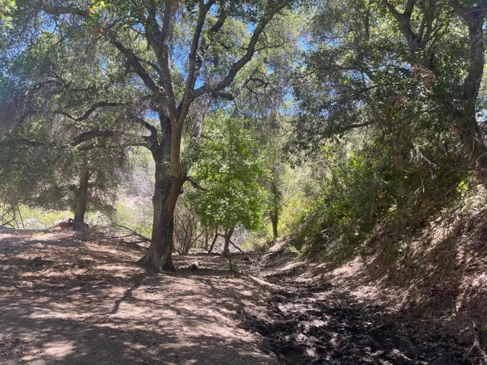 E Carmel Valley Road Greenfield, CA 93927