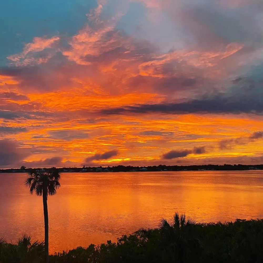 850 TIDEWATER SHORES LOOP #402 Bradenton, FL 34208