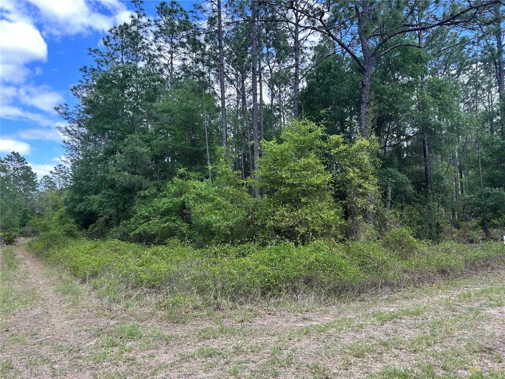 TBD SW 159TH AVENUE ocala, FL 34481