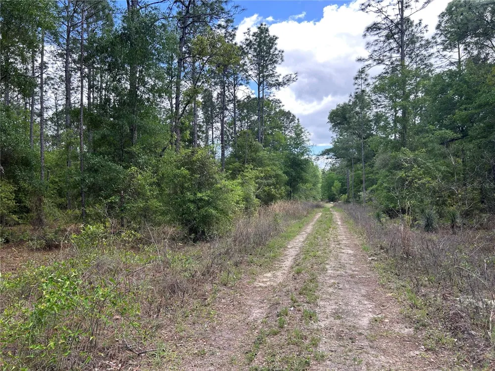TBD SW 159TH AVENUE ocala, FL 34481