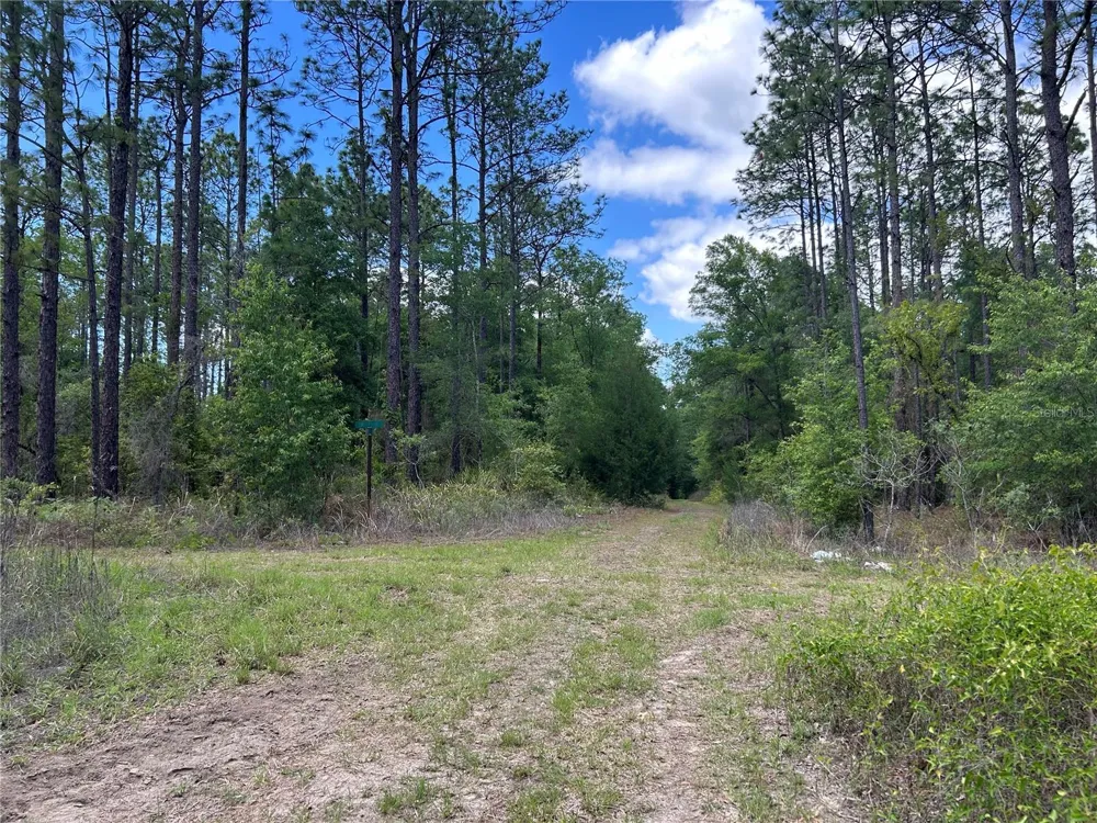 TBD SW 159TH AVENUE ocala, FL 34481