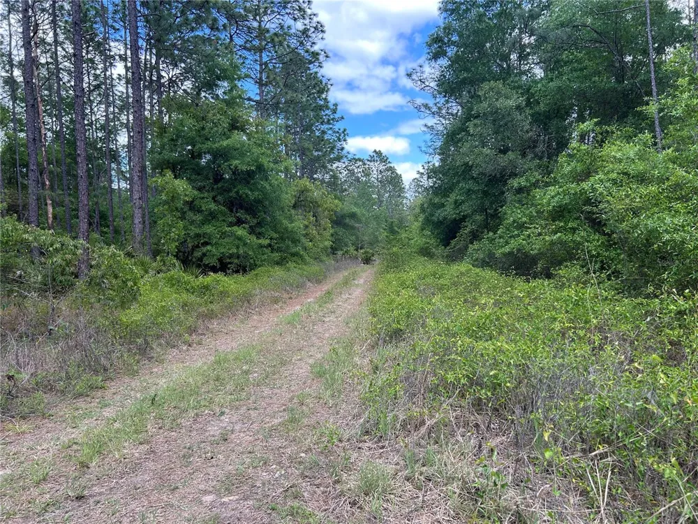 TBD SW 159TH AVENUE ocala, FL 34481