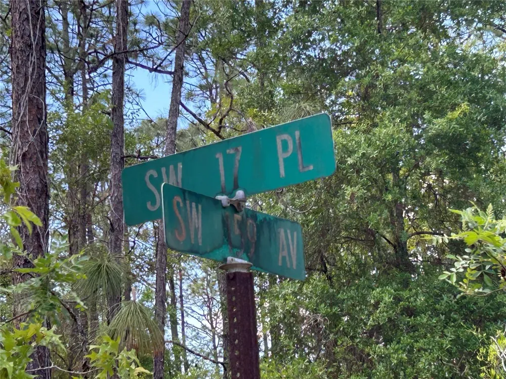 TBD SW 159TH AVENUE ocala, FL 34481