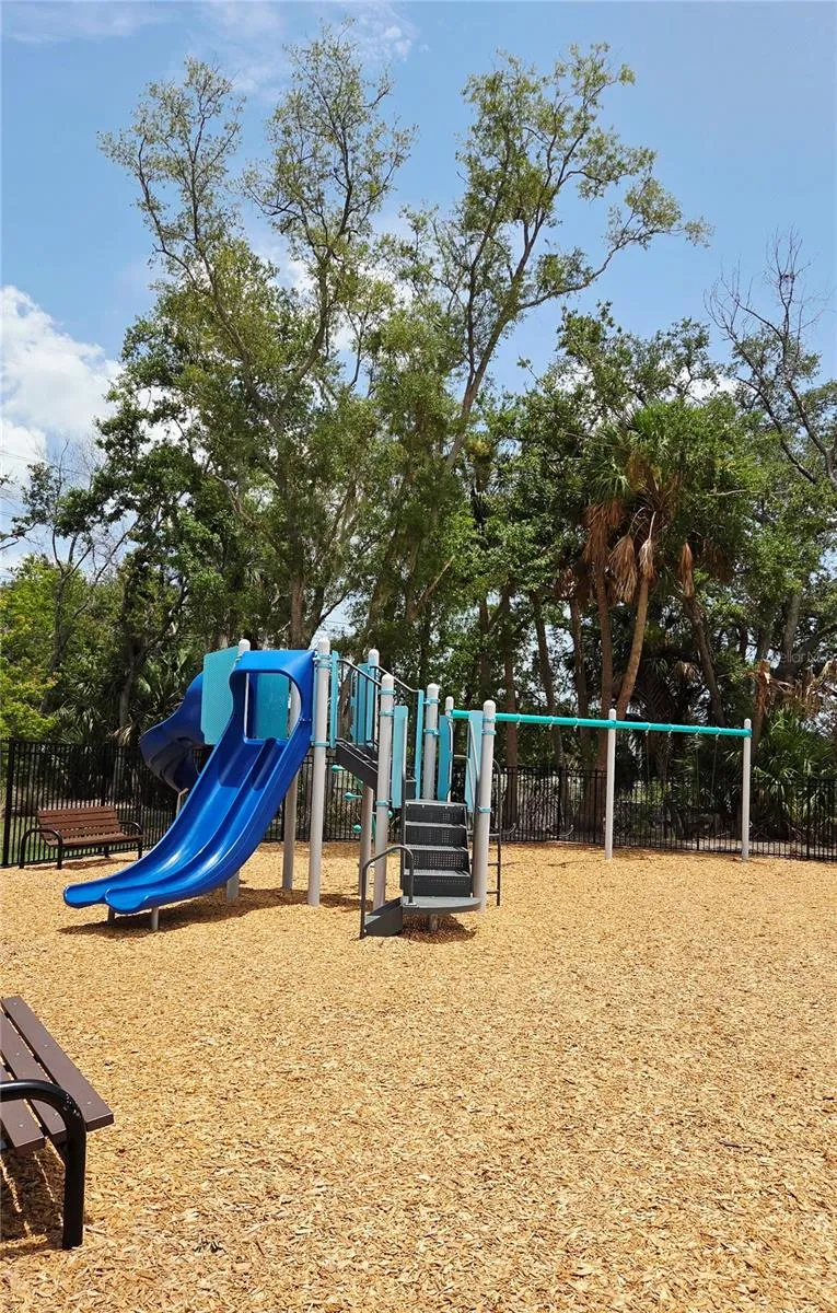 8821 WALNUT GABLE COURT Riverview, FL 33578
