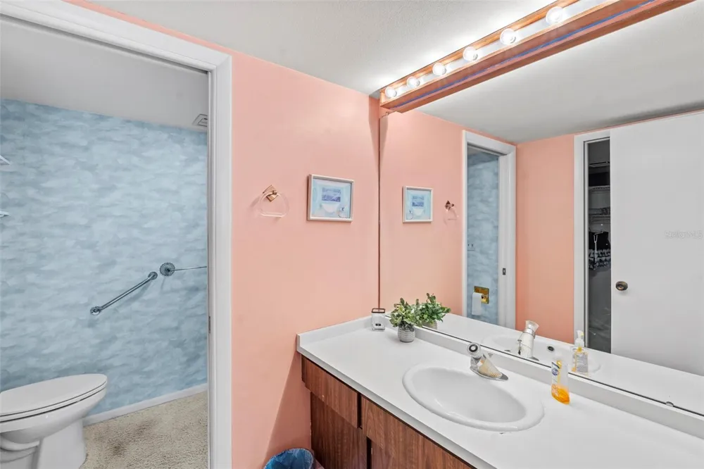 3035 COUNTRYSIDE BOULEVARD #24B Clearwater, FL 33761